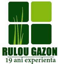 Rulou Gazon